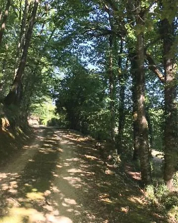 Retour Aux Sources *