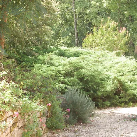 Retour Aux Sources Villa