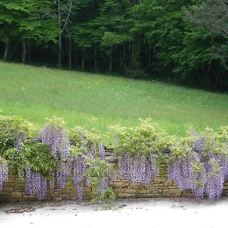 Retour Aux Sources Villa Blanquefort-sur-Briolance