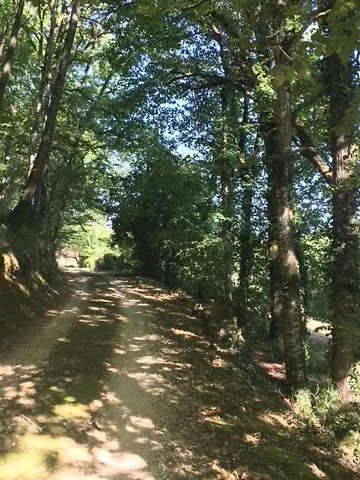 Retour Aux Sources *