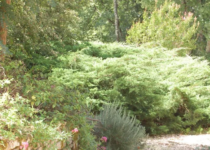 Retour Aux Sources Villa